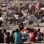 Screenshot 2025-11-04 115224