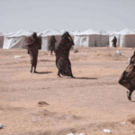 Screenshot 2025-11-20 094632