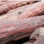 Screenshot 2025-12-04 170539