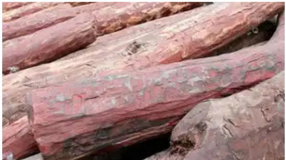 Screenshot 2025-12-04 170539