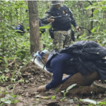 Screenshot 2025-12-10 155244