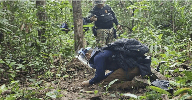 Screenshot 2025-12-10 155244