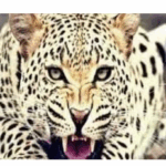 Screenshot 2025-12-11 202517