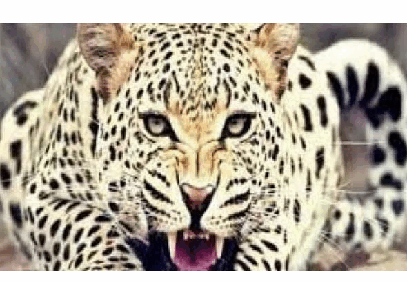 Screenshot 2025-12-11 202517