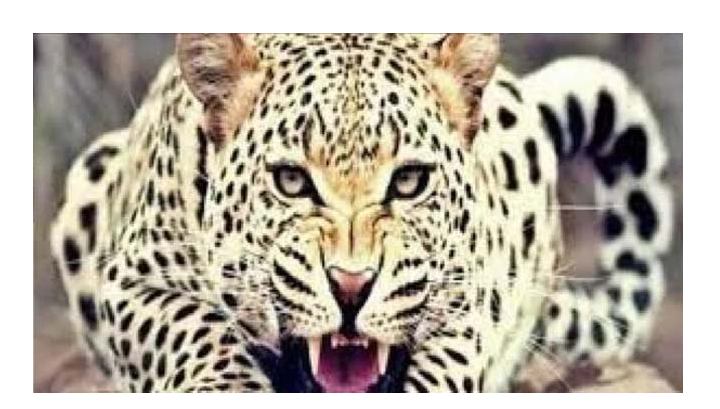 Screenshot 2025-12-11 202517