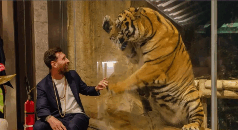 Screenshot 2025-12-18 124655