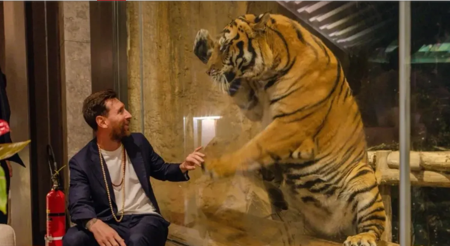 Screenshot 2025-12-18 124655