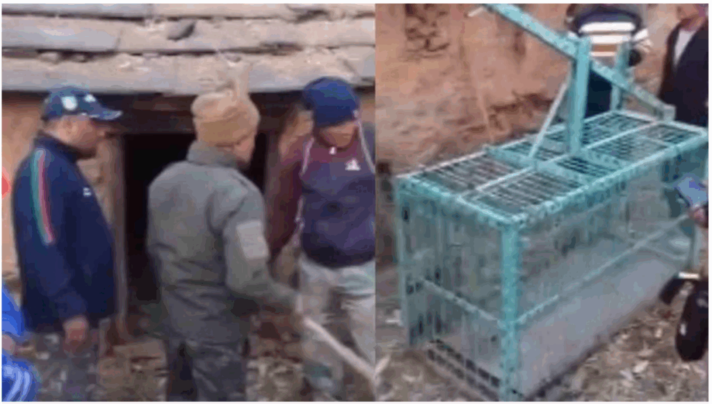 Screenshot 2026-01-02 124307