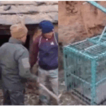 Screenshot 2026-01-02 124307