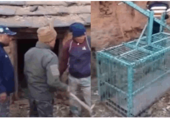 Screenshot 2026-01-02 124307