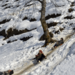 Screenshot 2026-02-09 102238