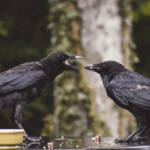 Screenshot 2026-03-10 121627