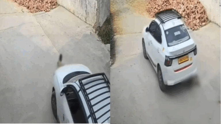 Screenshot 2026-03-11 191024