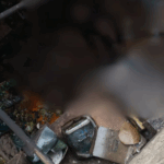 Screenshot 2026-03-15 121442