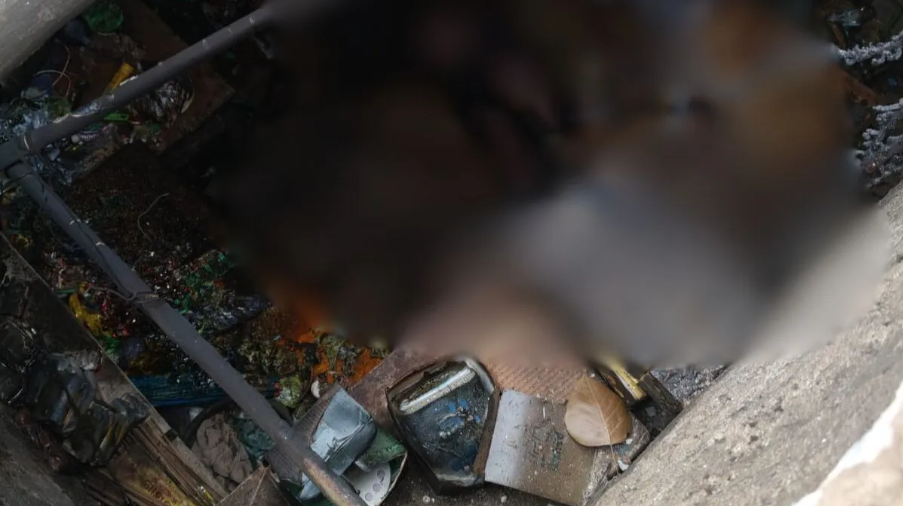 Screenshot 2026-03-15 121442