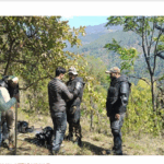 Screenshot 2026-03-25 211022