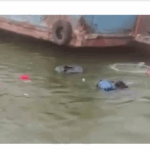 Screenshot 2026-03-26 143450