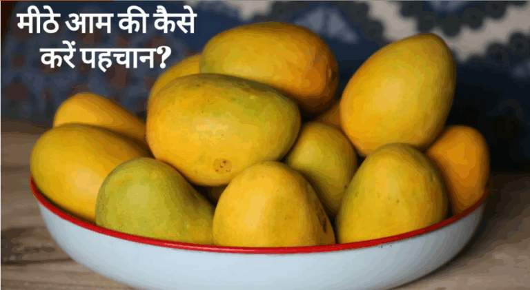 Screenshot 2026-04-21 103518